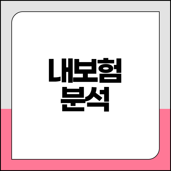 내보험분석